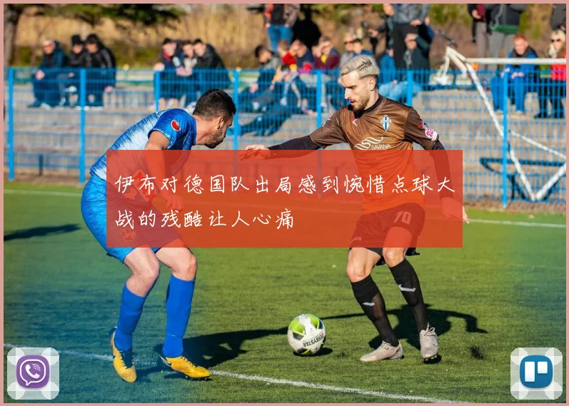 伊布对德国队出局感到惋惜点球大战的残酷让人心痛