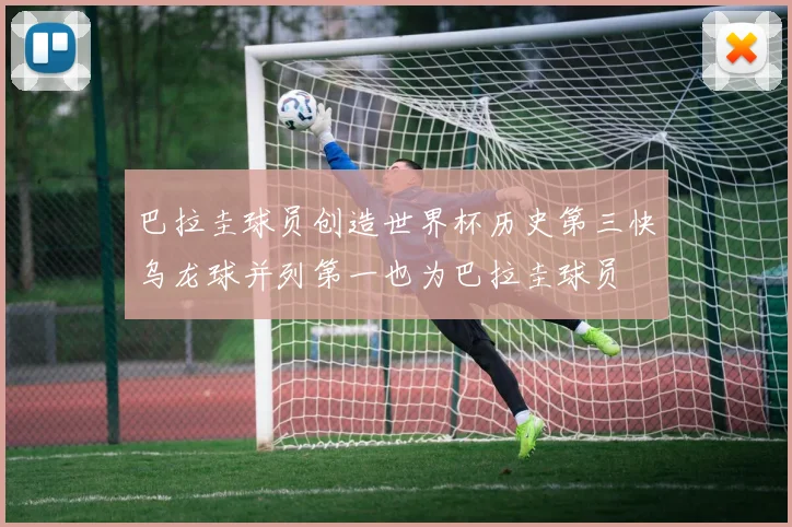 巴拉圭球员创造世界杯历史第三快乌龙球并列第一也为巴拉圭球员