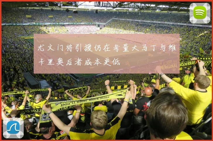 尤文门将引援仍在考量大马丁与维卡里奥后者成本更低
